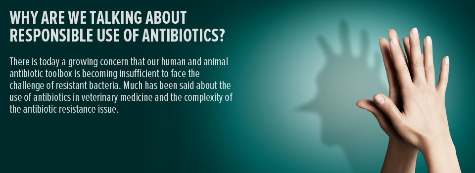 Why are we talking about responsible use of antibiotics?